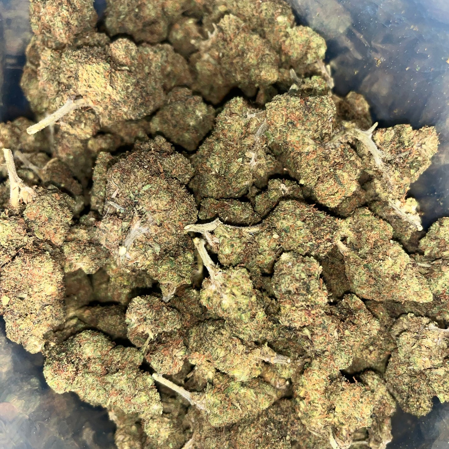 BubbleGum – THC-X 50%