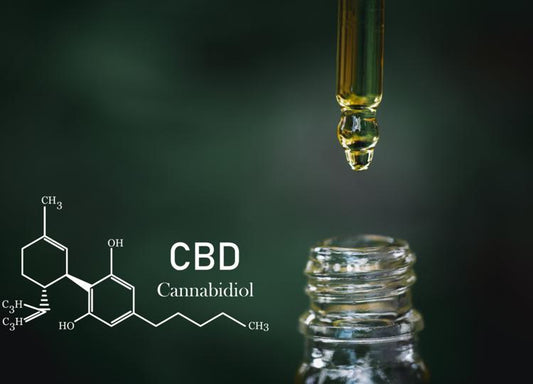 Introdução ao CBD (Canabidiol)