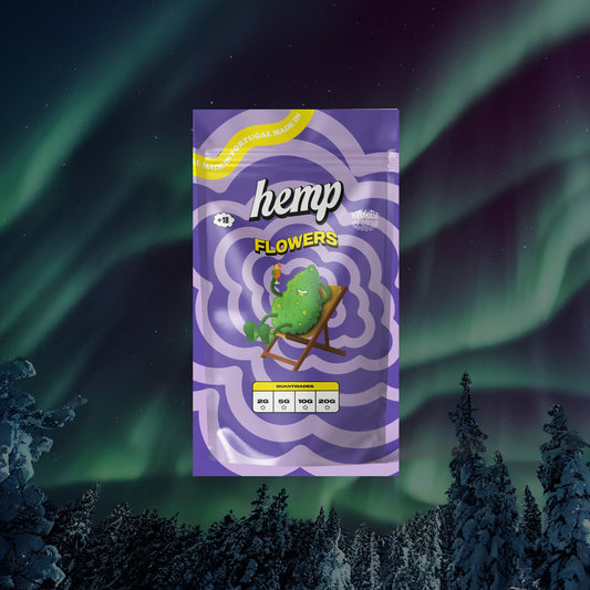 Northern Lights