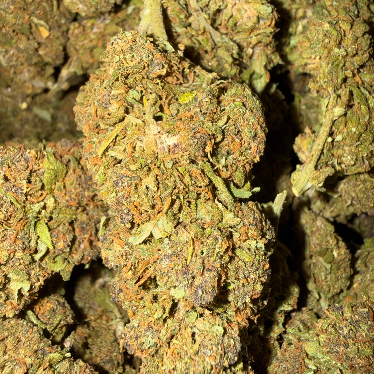 Purple Lemon