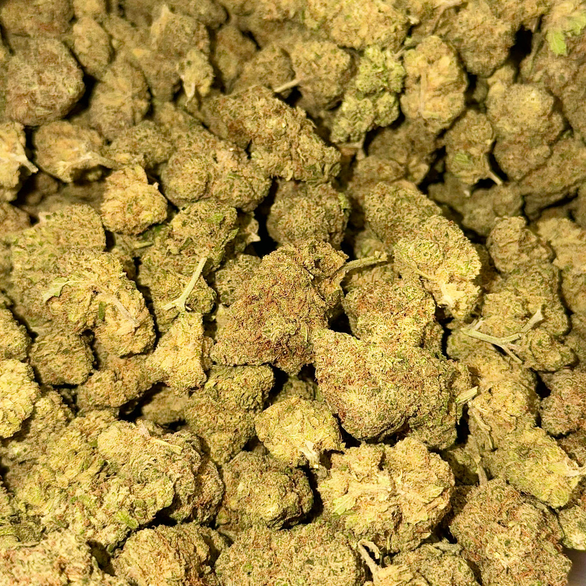 Northern Lights