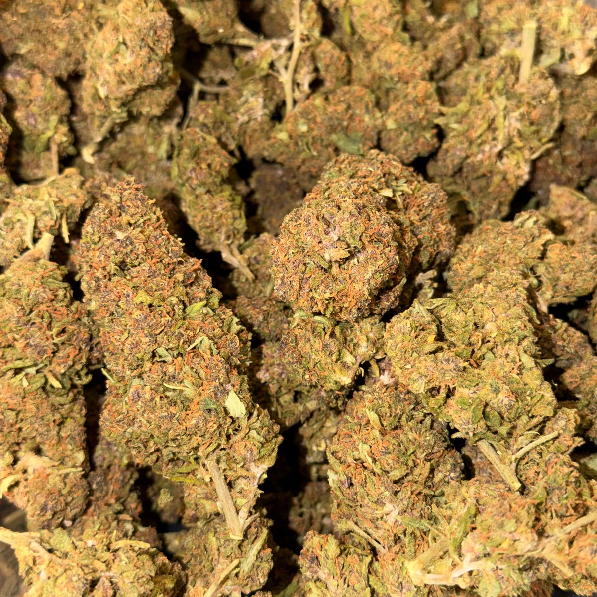 Purple Lemon