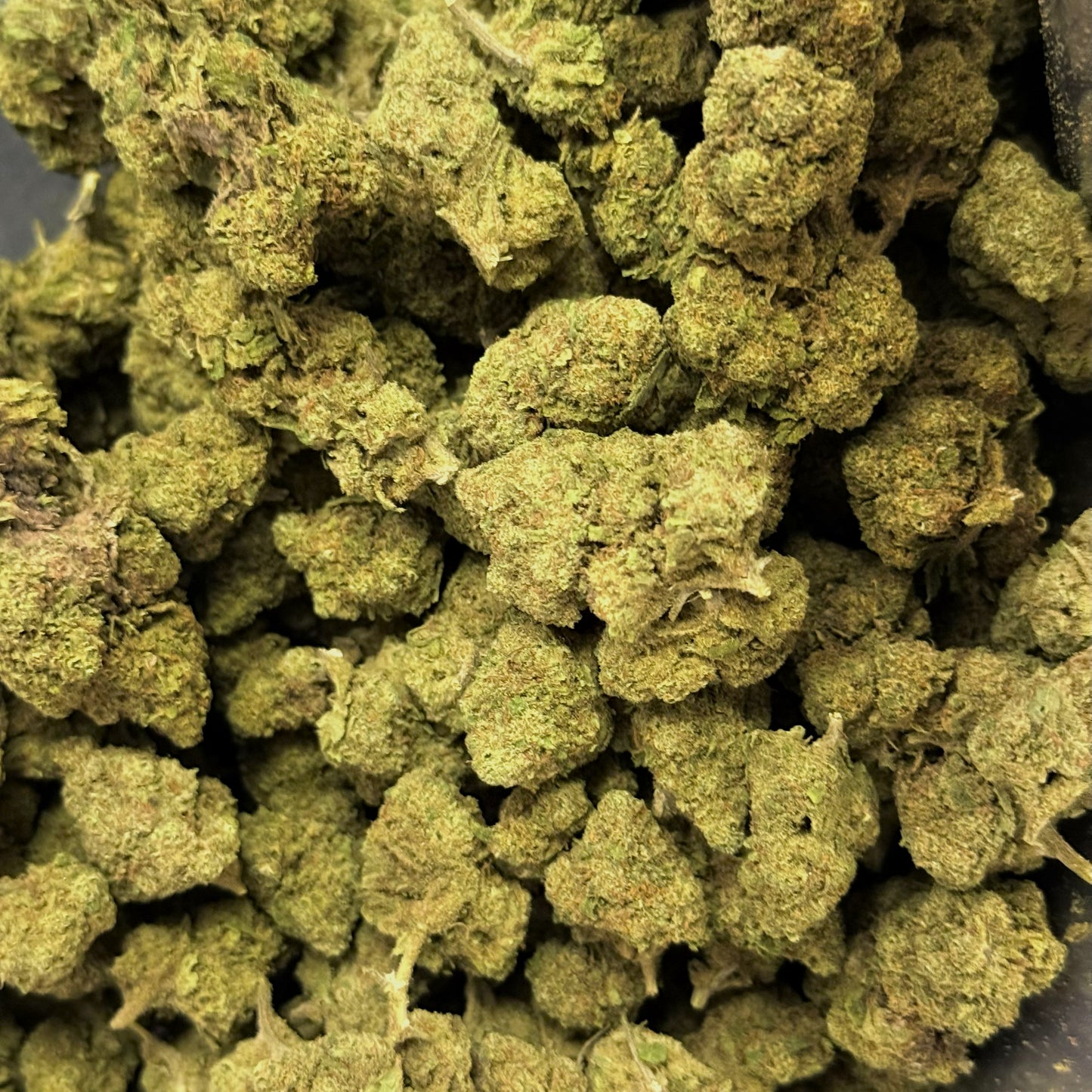 Gorilla Glue 🦍 🍯