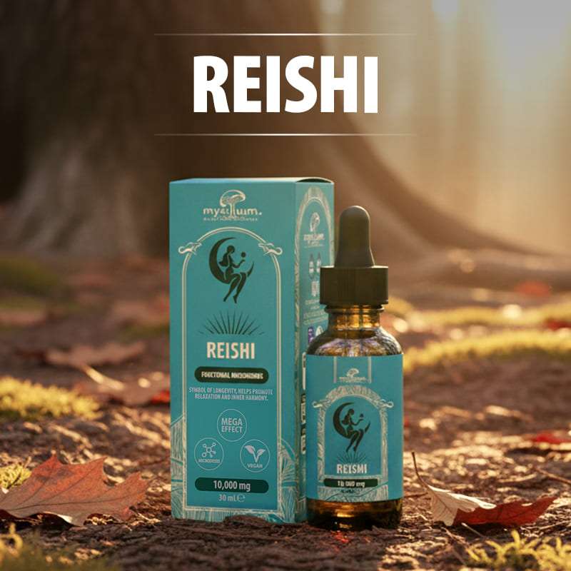Extracto de Cogumelo Reishi